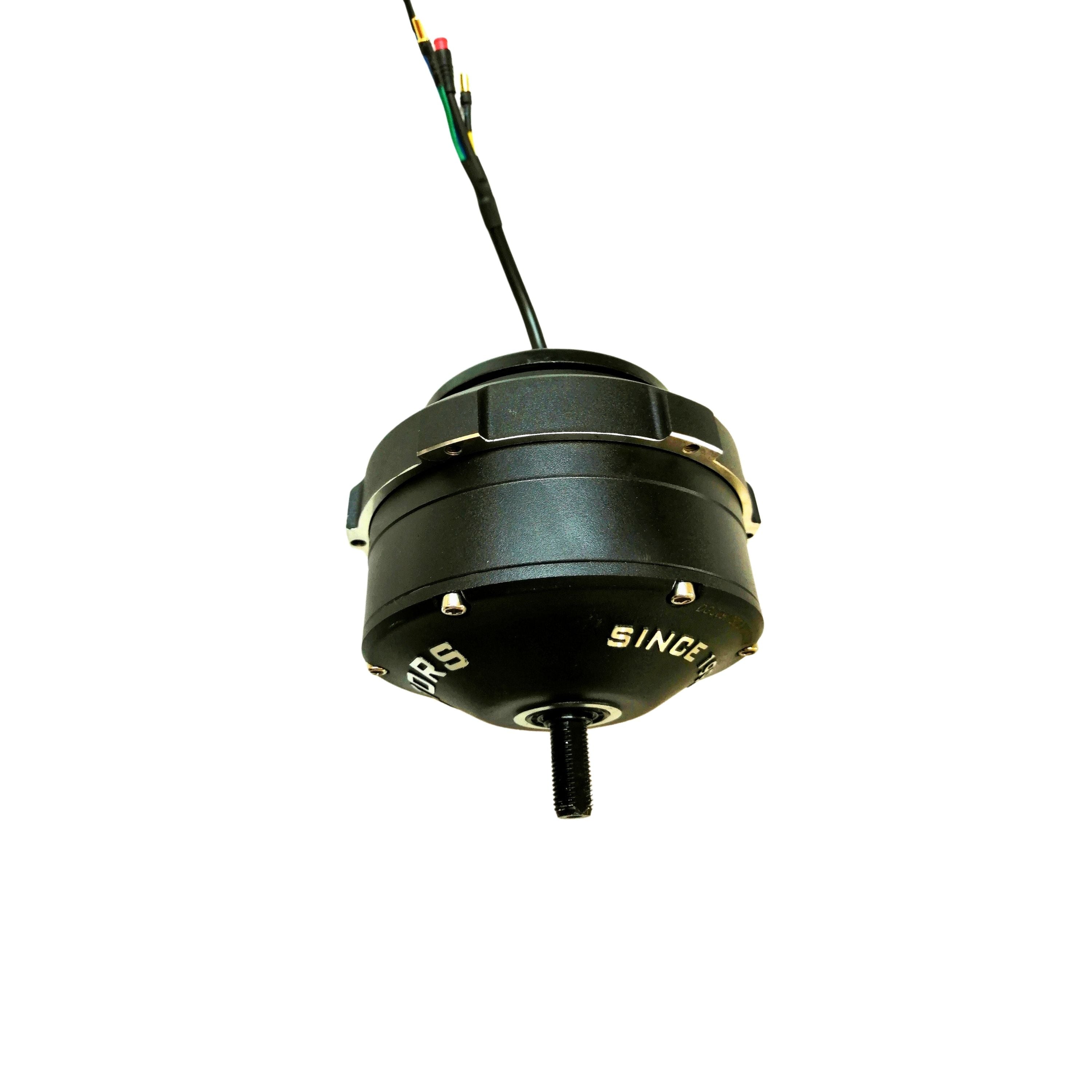 Dualtron Togo 48v motor